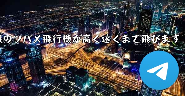 折り紙のツバメ飛行機が高く遠くまで飛びます