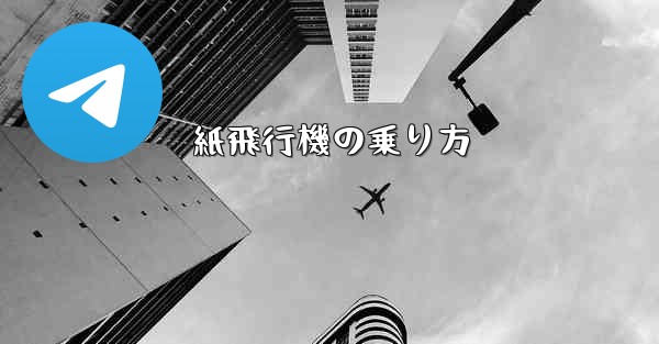 紙飛行機の乗り方