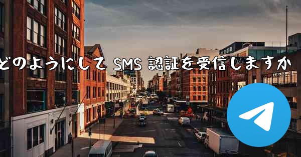 Paper Plane はどのようにして SMS 認証を受信しますか