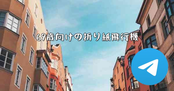 69歳向けの折り紙飛行機