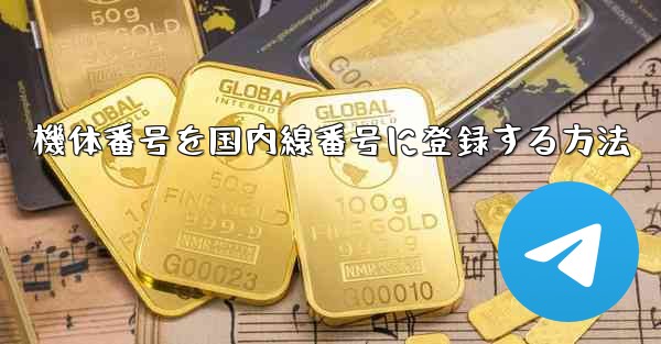 機体番号を国内線番号に登録する方法