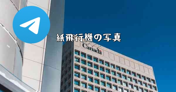 紙飛行機の写真