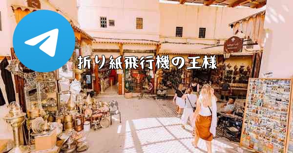折り紙飛行機の王様