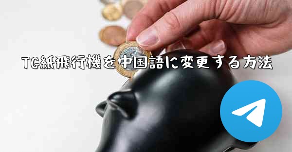 TG紙飛行機を中国語に変更する方法