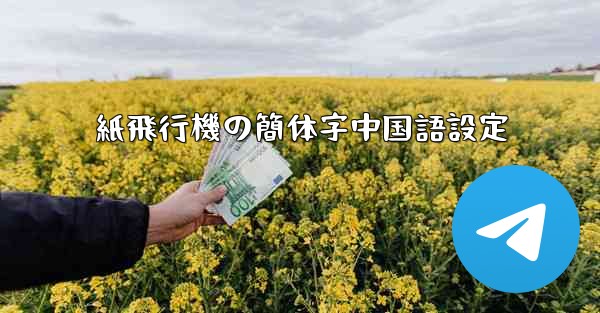 紙飛行機の簡体字中国語設定
