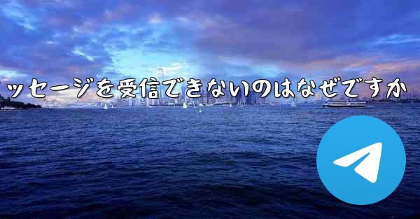 Paper Plane が確認テキスト メッセージを受信できないのはなぜですか