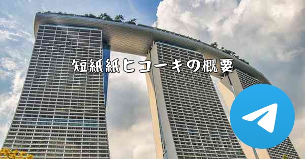 短紙紙ヒコーキの概要