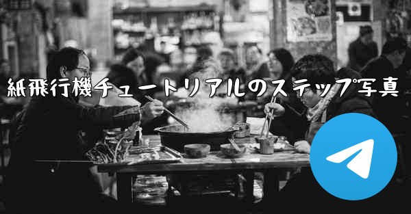 紙飛行機チュートリアルのステップ写真