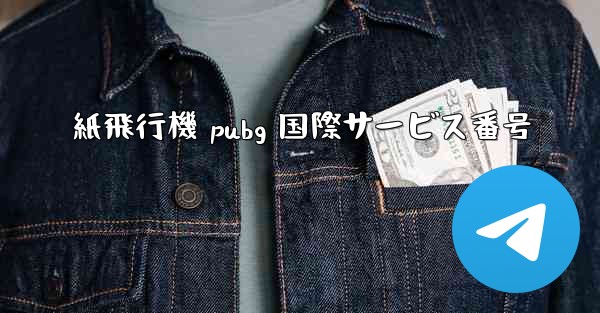 紙飛行機 pubg 国際サービス番号