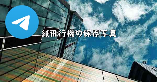 紙飛行機の保存写真