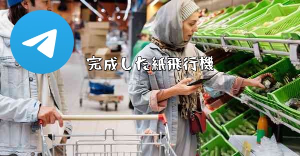 完成した紙飛行機