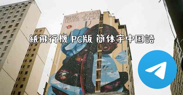 紙飛行機 PC版 簡体字中国語