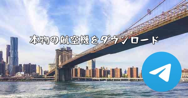 本物の航空機をダウンロード