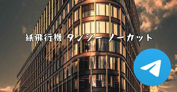 紙飛行機 タンシー ノーカット
