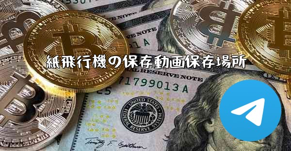 紙飛行機の保存動画保存場所