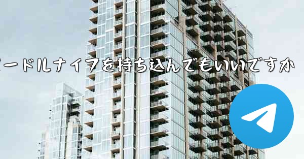 飛行機にヌードルナイフを持ち込んでもいいですか