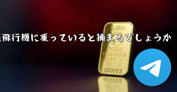 中国で紙飛行機に乗っていると捕まるでしょうか