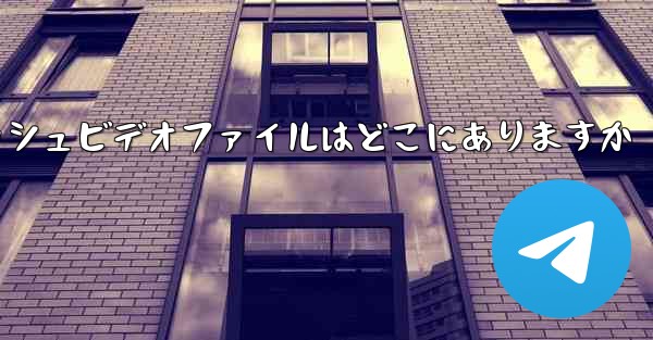 Paper Plane のキャッシュビデオファイルはどこにありますか