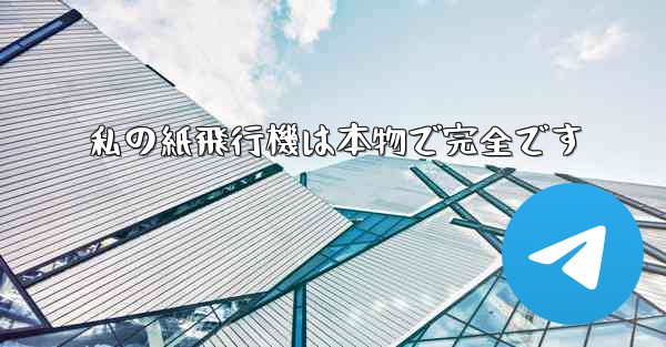 私の紙飛行機は本物で完全です