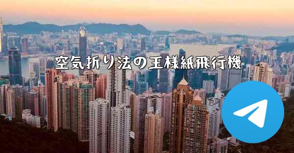 空気折り法の王様紙飛行機