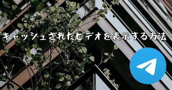 Paper Plane でキャッシュされたビデオを表示する方法