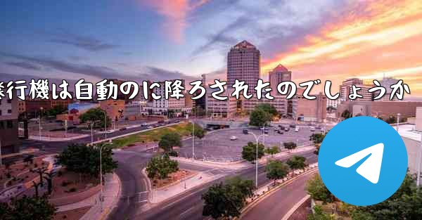 なぜ紙飛行機は自動のに降ろされたのでしょうか