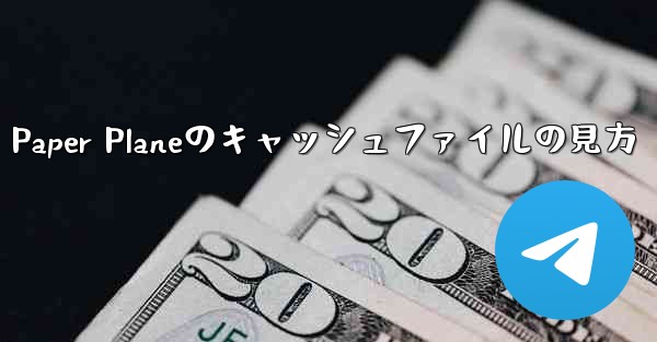 Paper Planeのキャッシュファイルの見方