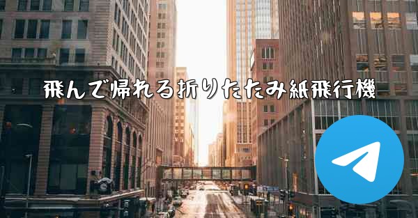 飛んで帰れる折りたたみ紙飛行機