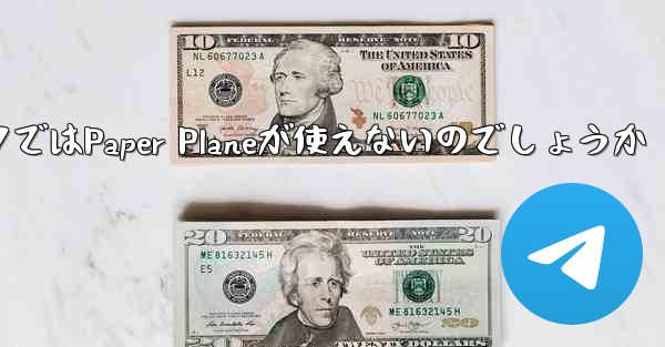 なぜ国内ネットワークではPaper Planeが使えないのでしょうか