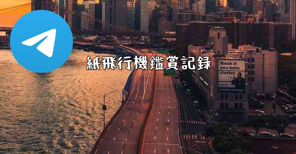 紙飛行機鑑賞記録