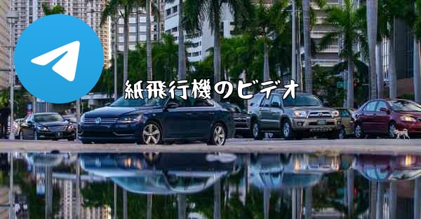紙飛行機のビデオ