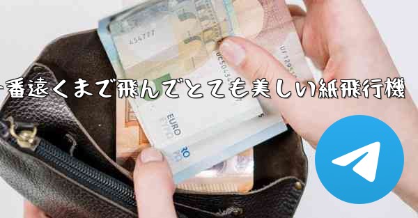 一番遠くまで飛んでとても美しい紙飛行機