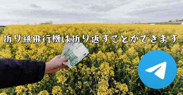折り紙飛行機は折り返すことができます