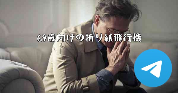 69歳向けの折り紙飛行機