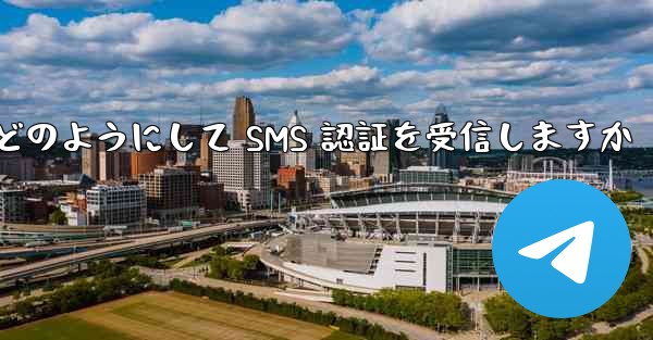 Paper Plane はどのようにして SMS 認証を受信しますか