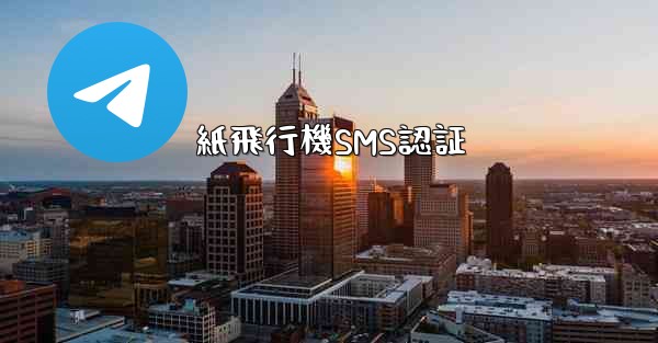 紙飛行機SMS認証