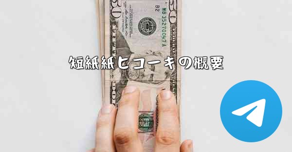 短紙紙ヒコーキの概要