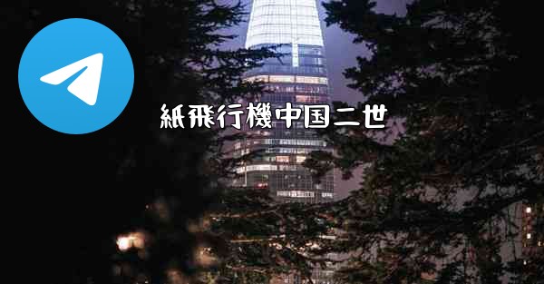 紙飛行機中国二世