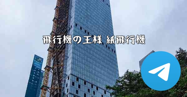 飛行機の王様 紙飛行機