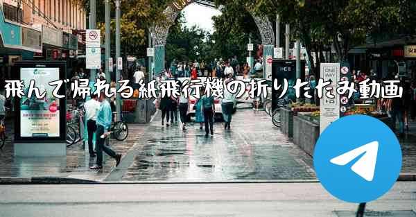 飛んで帰れる紙飛行機の折りたたみ動画