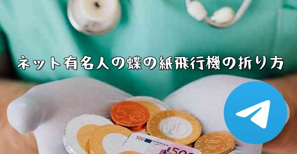 ネット有名人の蝶の紙飛行機の折り方