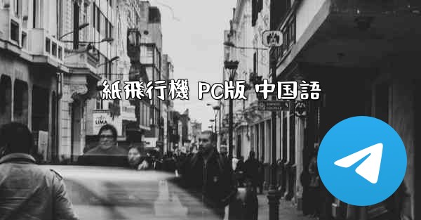 紙飛行機 PC版 中国語