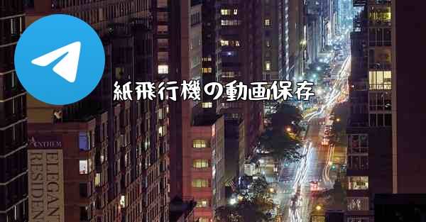 紙飛行機の動画保存