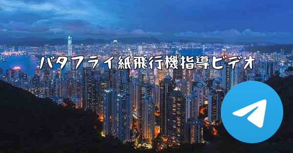 バタフライ紙飛行機指導ビデオ