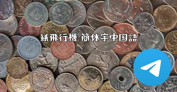 紙飛行機 簡体字中国語