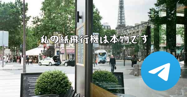 私の紙飛行機は本物です