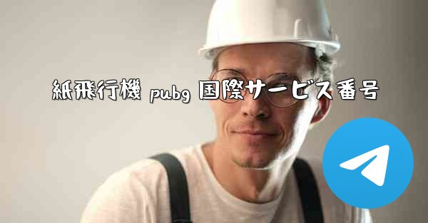 紙飛行機 pubg 国際サービス番号