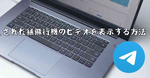 キャッシュされた紙飛行機のビデオを表示する方法
