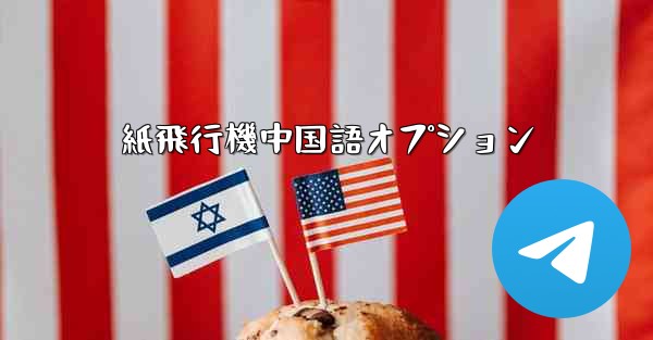 紙飛行機中国語オプション