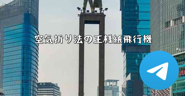 空気折り法の王様紙飛行機